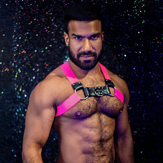 Pink Chest Harness