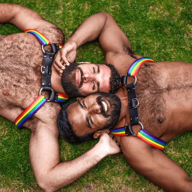 Pride Unicorn Chest Harness 