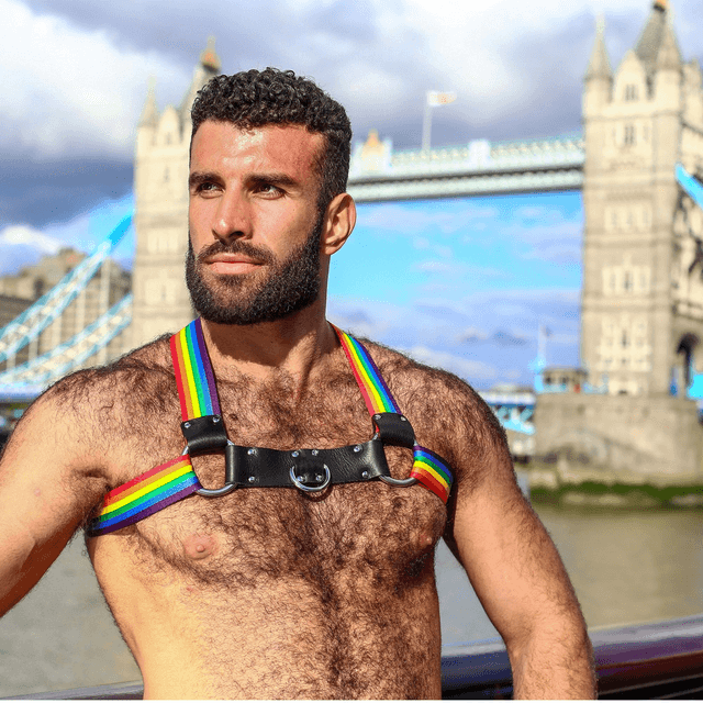 Pride Unicorn Chest Harness 