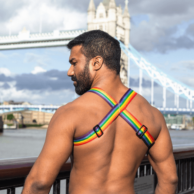 Pride Unicorn Chest Harness 