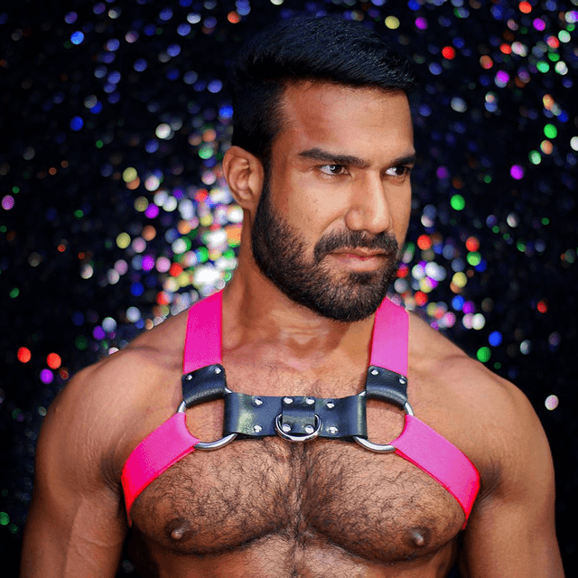 Pink Chest Harness