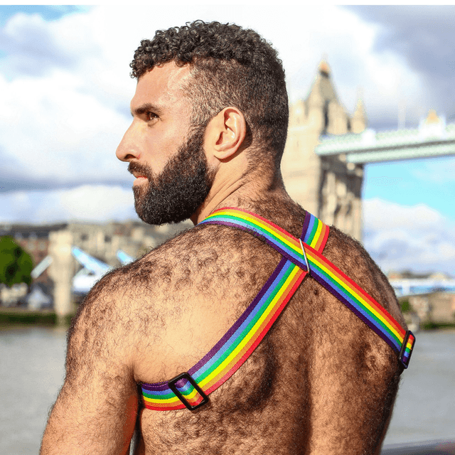 Pride Unicorn Chest Harness 