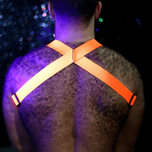 Orange Chest Harness 