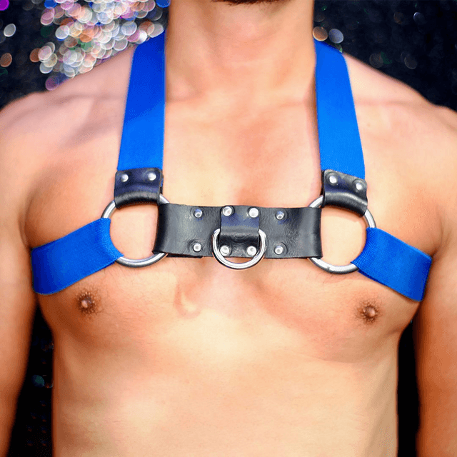 Blue Chest Harness 