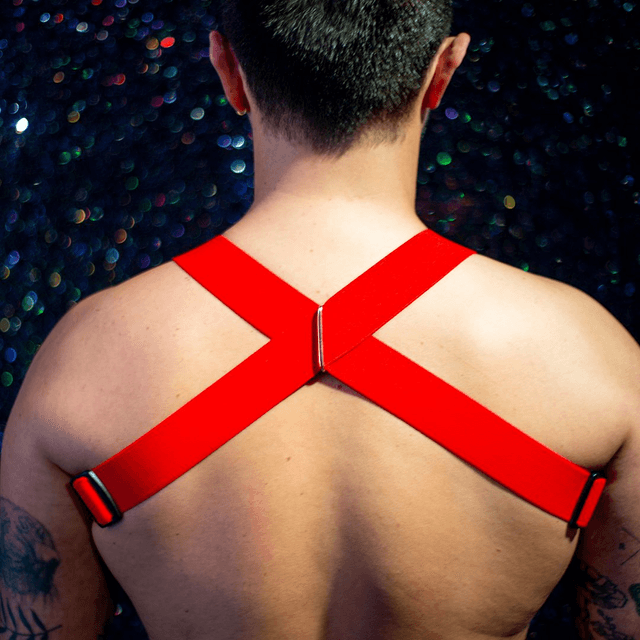 Red Chest Harness 