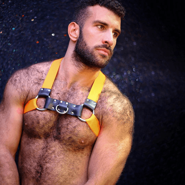 Orange Chest Harness 