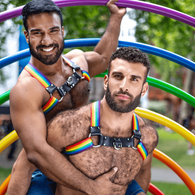 Pride Unicorn Chest Harness 