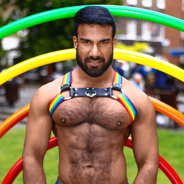 Pride Unicorn Chest Harness 